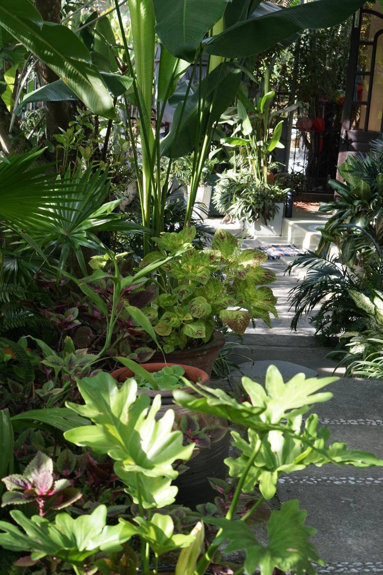 Apartamento Hoi An Sunny Garden Exterior foto