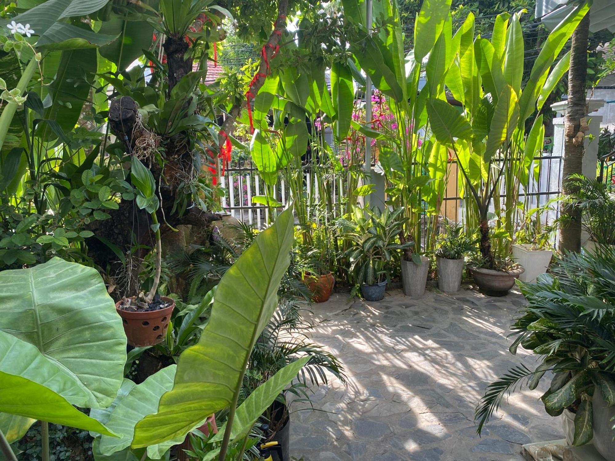 Apartamento Hoi An Sunny Garden Exterior foto