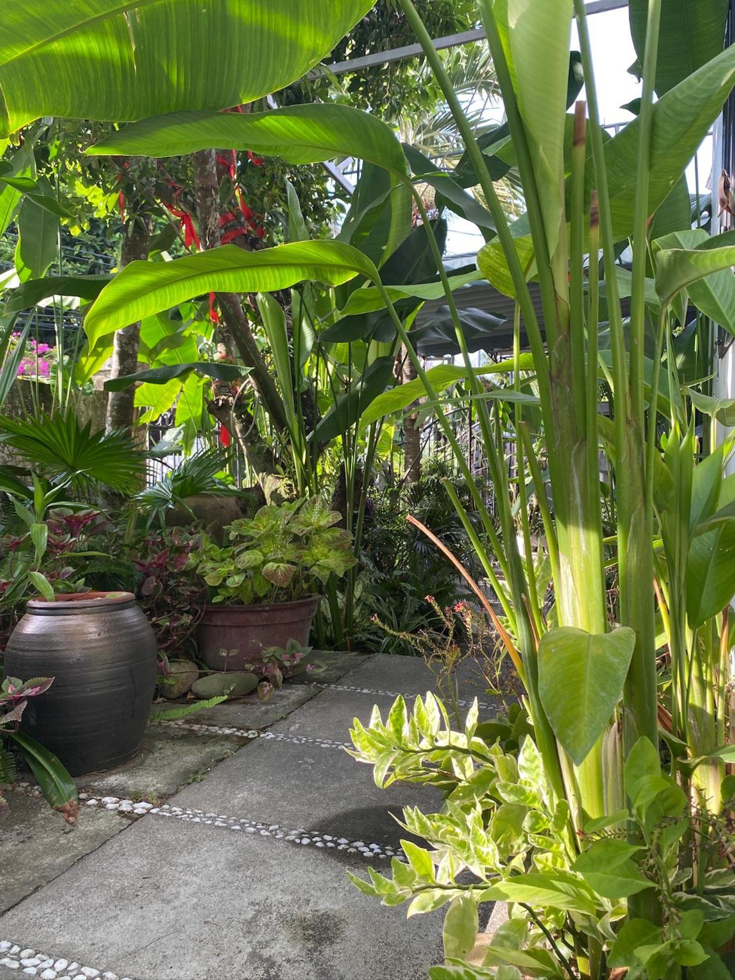Apartamento Hoi An Sunny Garden Exterior foto